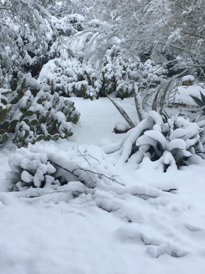 Snow in east ÃÛèÖÖ±²¥